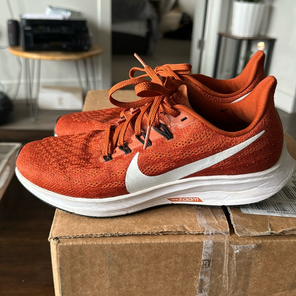 Nike Zoom Pegasus